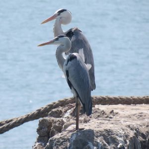 Marine National Park