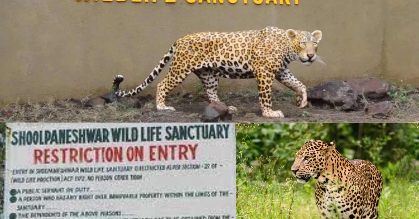 Shoolpaneshwar Wildlife Sanctuary Timings, History, Entry Fee, Ticket Price