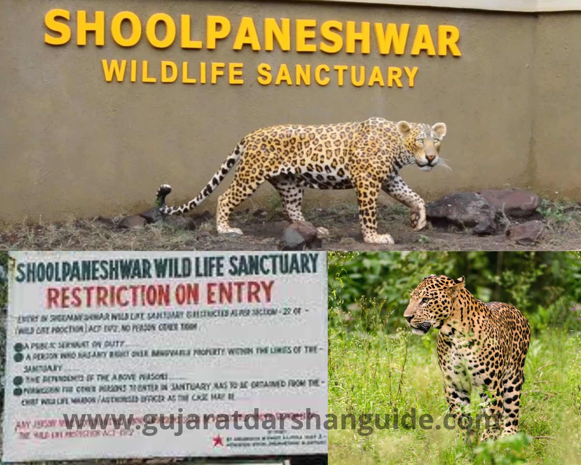 Shoolpaneshwar Wildlife Sanctuary