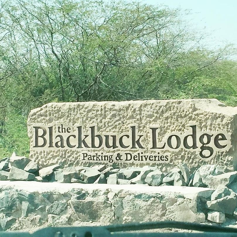 Blackbuck National Park