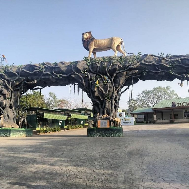 jungle safari park statue of unity