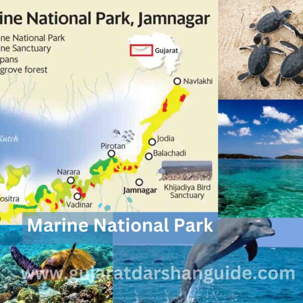Marine National Park Timings, Ticket Prices, Entry Fee, Contact Number