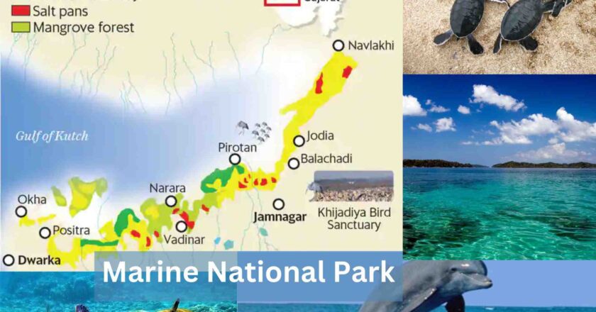 Marine National Park Timings, Ticket Prices, Entry Fee, Contact Number