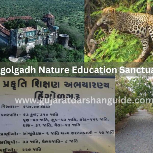 Hingolgadh Nature Education Sanctuary Timings, Entry Fee, Contact Number, Ticket Prices