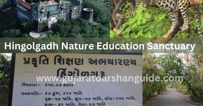 Hingolgadh Nature Education Sanctuary Timings, Entry Fee, Contact Number, Ticket Prices