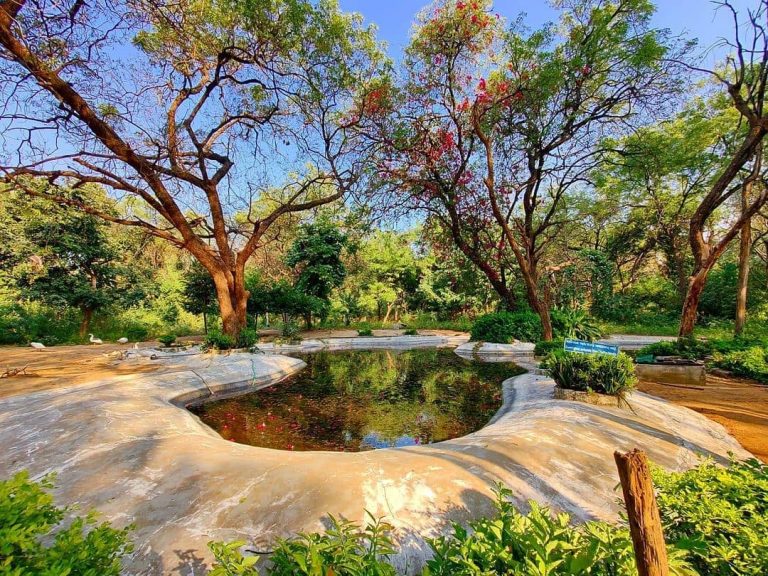 indroda park gandhinagar