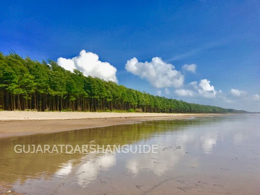 Tithal Beach, Valsad | Things to Do, Tips, Timings, Photos