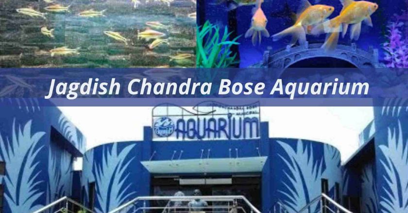 Jagdish Chandra Bose Aquarium Surat (Ticket Price, Timings, Phone Number, Entry Fee)