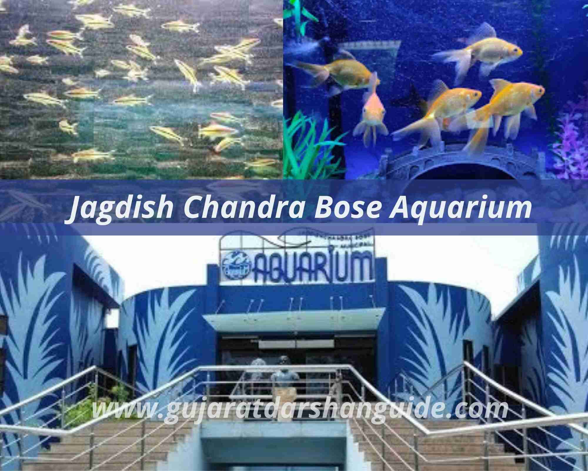 Jagdish Chandra Bose Aquarium Surat (Ticket Price, Timings, Phone