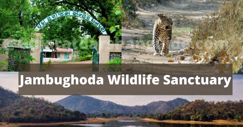 Jambughoda Wildlife Sanctuary Online Tickets Booking Price