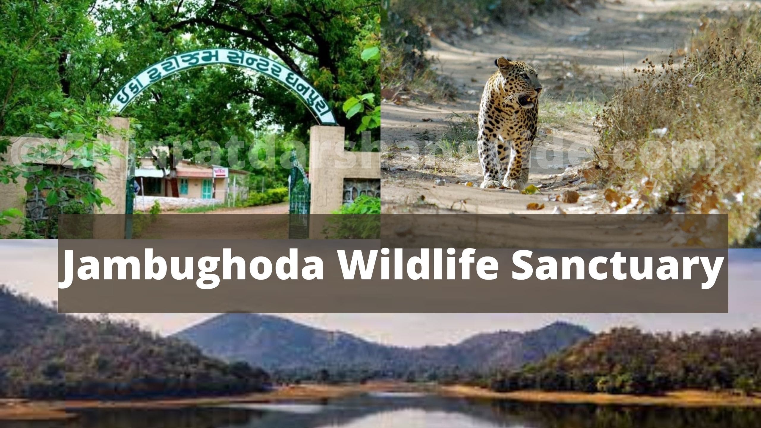 Jambughoda Wildlife Sanctuary Online Tickets Booking Price Gujarat