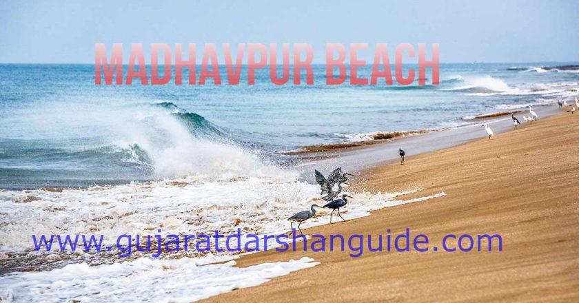 Madhavpur Beach Timings, Water Sports, Thing To Do | Porbandar