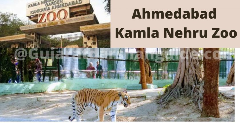 Ahmedabad Kamla Nehru Zoo Timing-Ticket Online Booking