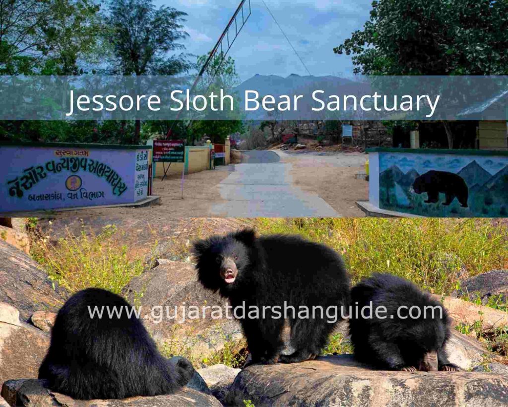 Jessore Sloth Bear Sanctuary