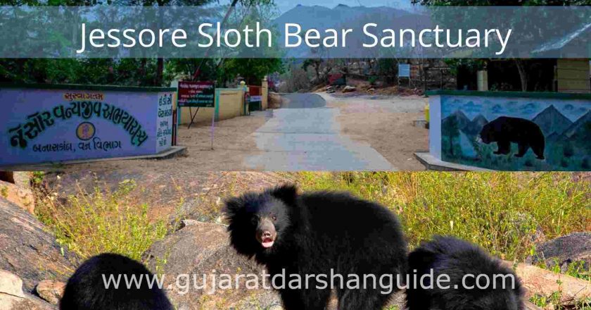 Jessore Sloth Bear Sanctuary Palanpur Entry Fee, Timings, Contact Number