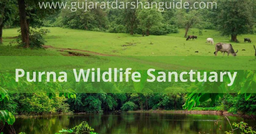 Purna Wildlife Sanctuary Surat Ticket Price, Timings, Best Time To Visit