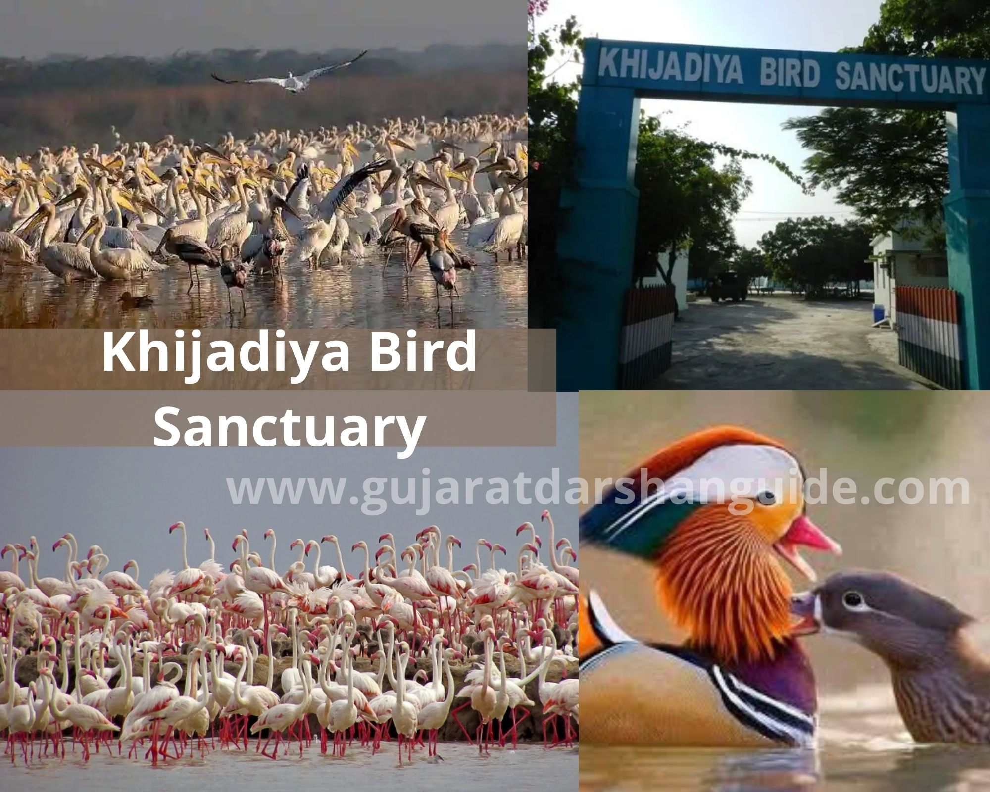 Khijadiya Bird Sanctuary