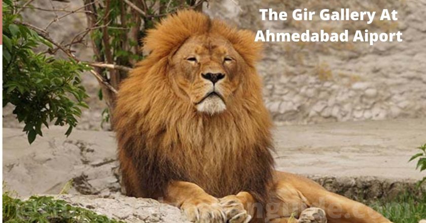 The Gir Gallery at Ahmedabad Airport inaugurates by Reliance