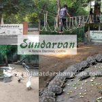 Sundarvan- Mini zoo in Ahmedabad Timings, Ticket Price, Contact Number