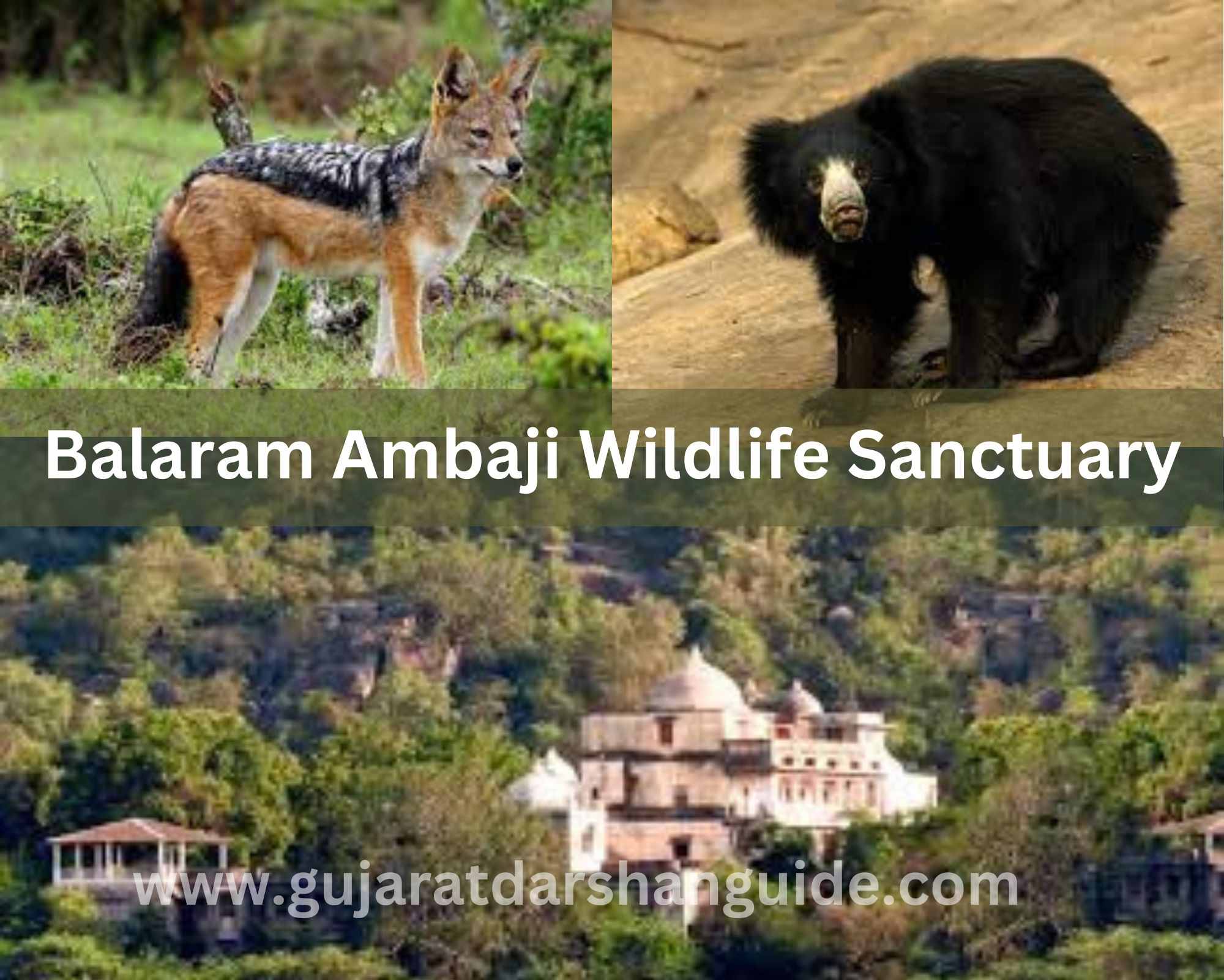 Balaram Ambaji Wildlife Sanctuary