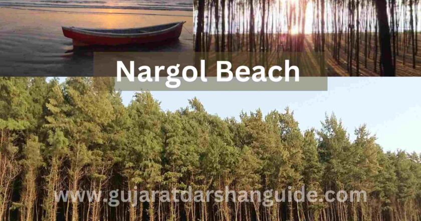 Nargol Beach Timings, Entry Fee, Best Time To Visit, How To Reach