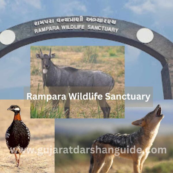 Rampara Wildlife Sanctuary Ticket Price, Timings, Best Time To Visit, Entry Fee