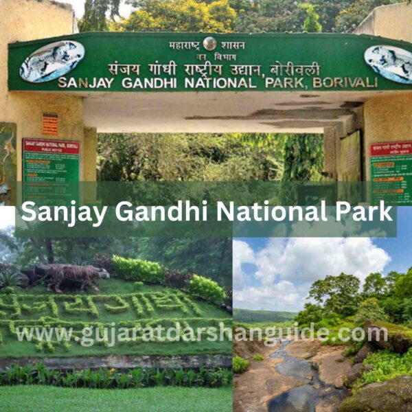 Sanjay Gandhi National Park Ticket Price, Timings, Contact Number, How To Reach
