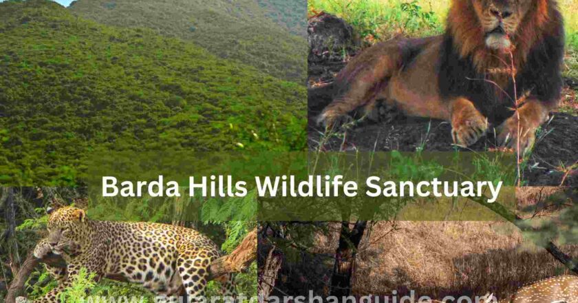 Barda Wildlife Sanctuary Timing | Ticket Price