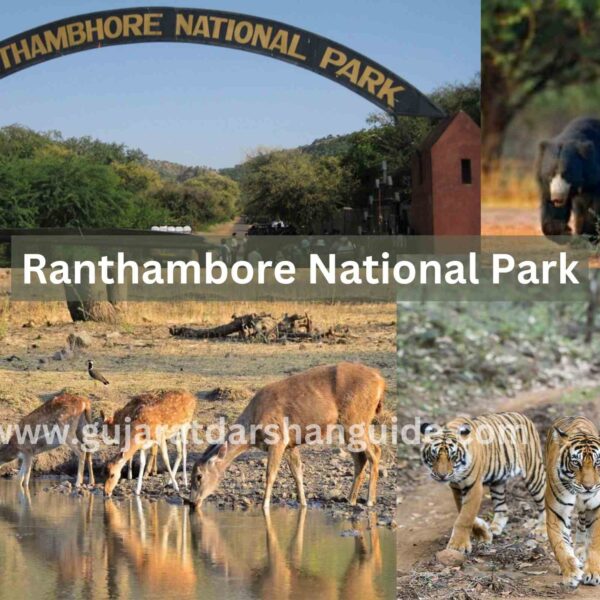 Ranthambore National Park Timings, Ticket Prices, History, Best Time To Visit