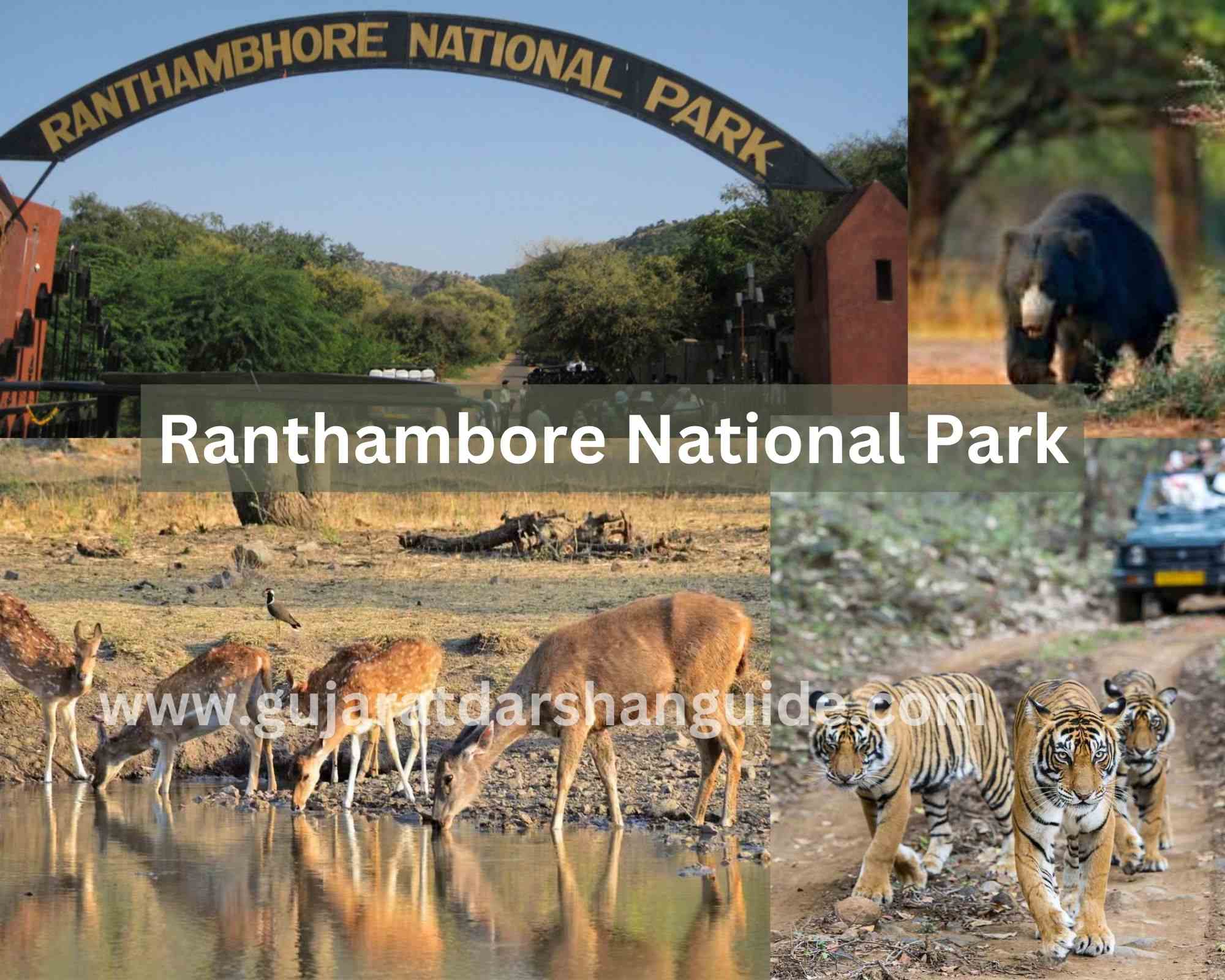 case study on ranthambore national park