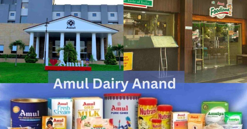 Amul Dairy Anand Visit, Timings, Entry Fee, How To Book