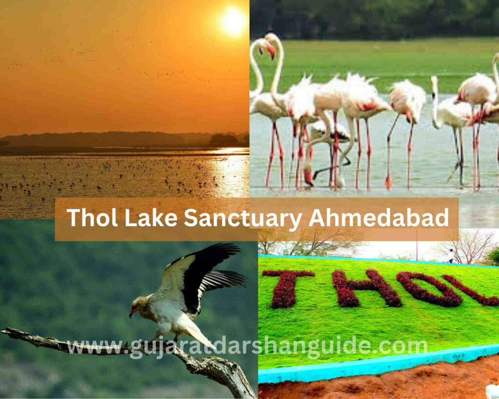Thol Lake Sanctuary ahmedabad